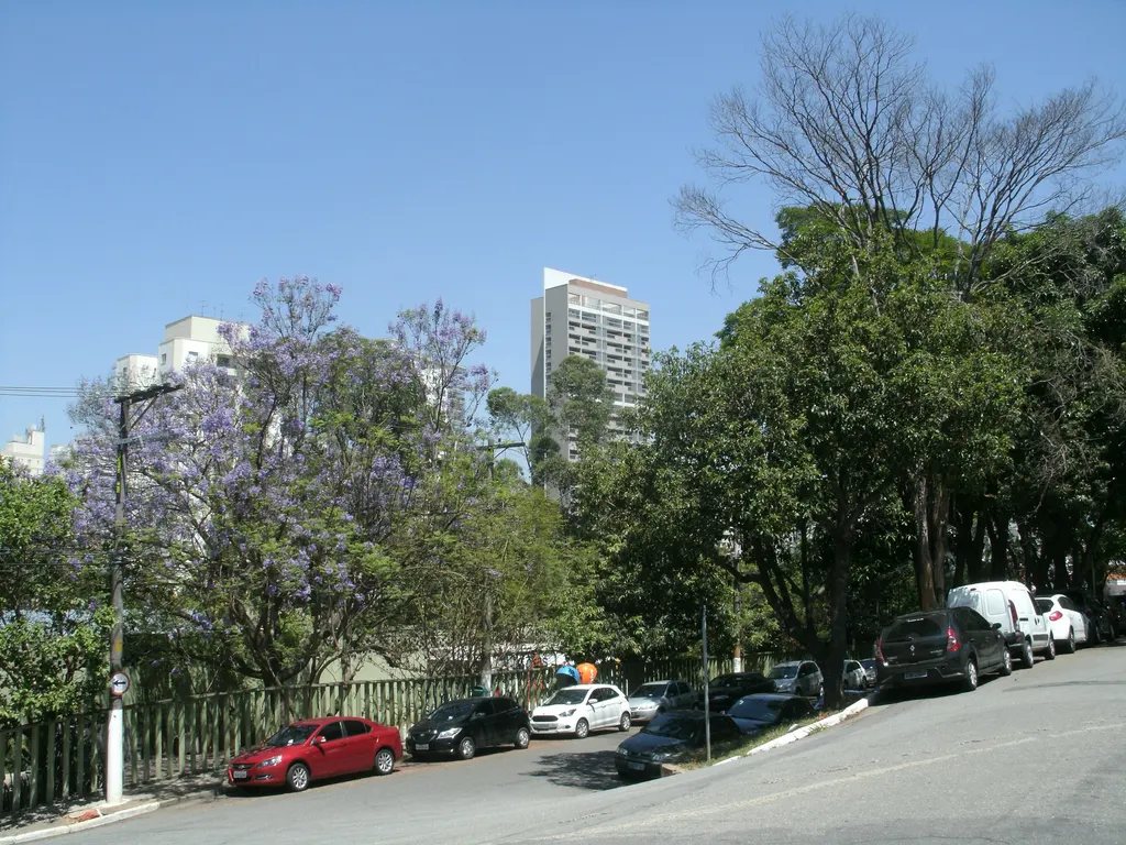 Avenida Invernada, no Campo Belo, com ipês floridos à esquerda, árvores altas à direita e prédios ao fundo